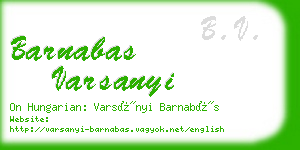 barnabas varsanyi business card